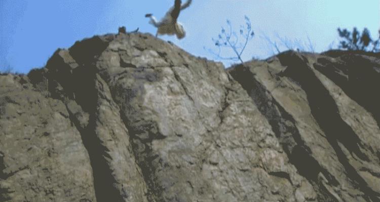 国产影视剧为啥总被吐槽因为都用了一样的模板呢「国产影视剧为啥总被吐槽因为都用了一样的模板」