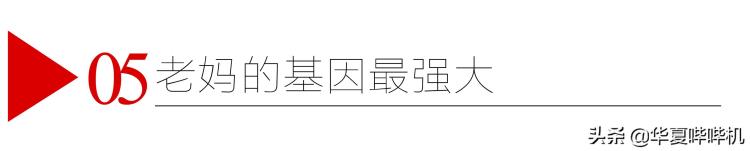 国产影视剧为啥总被吐槽因为都用了一样的模板呢「国产影视剧为啥总被吐槽因为都用了一样的模板」