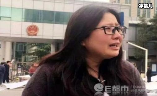 北京昌平王祎哲事件回顾