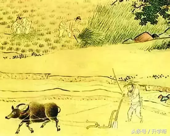 男人有三大喜事是什么喜事（四大喜事洞房花烛夜金榜题名时）(图2)