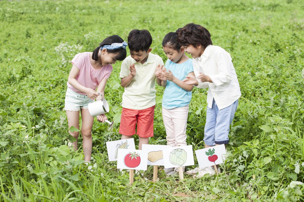 初二升初三暑假如何赶超（初二升初三暑假怎么提高成绩）(图1)