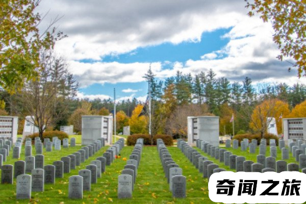 为什么不让孙子去上坟（孙子辈上坟有讲究吗） |(4)_