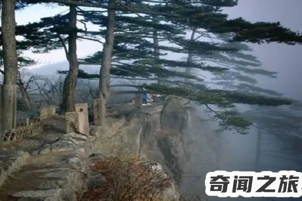 语文书上有鬼图片（语文书上的诡异照片灵异事件）(4)_