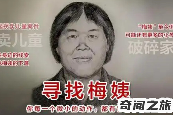 梅姨真实有多残忍（多起贩卖儿童的案子都和她有关）(2)_