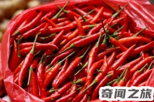 辣椒是何时传入中国的（辣椒传入中国是在什么年代）(4)_