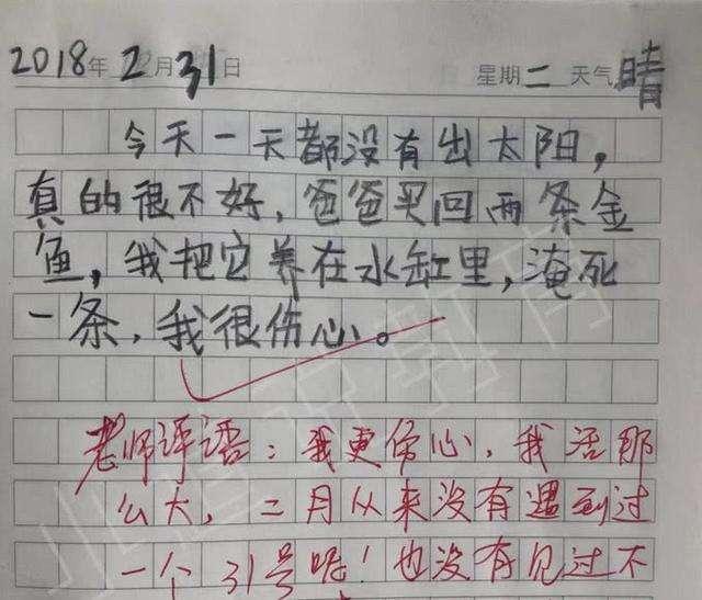 气死99个老师的作文 老师也太难了(8)_