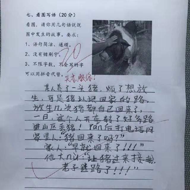 气死99个老师的作文 老师也太难了(5)_