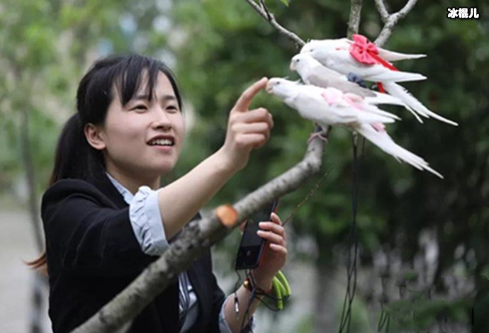 女孩做鸟用尿不湿