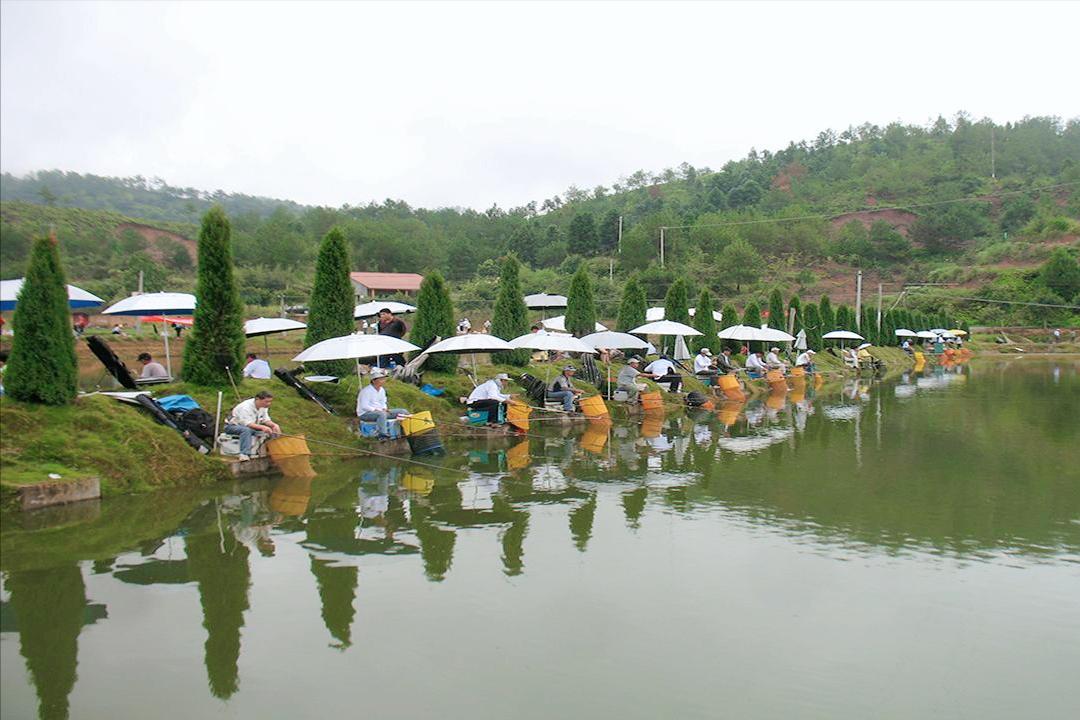 死水鱼塘养什么鱼最好（死水塘适合养什么鱼不容易死）(图8)