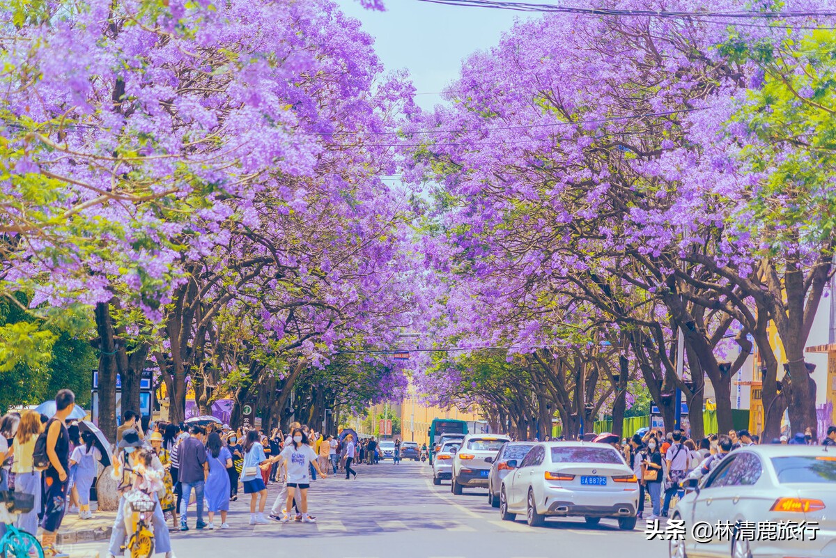 云南省昆明市夏天最高温度多少（昆明夏天最热多少度）(图2)