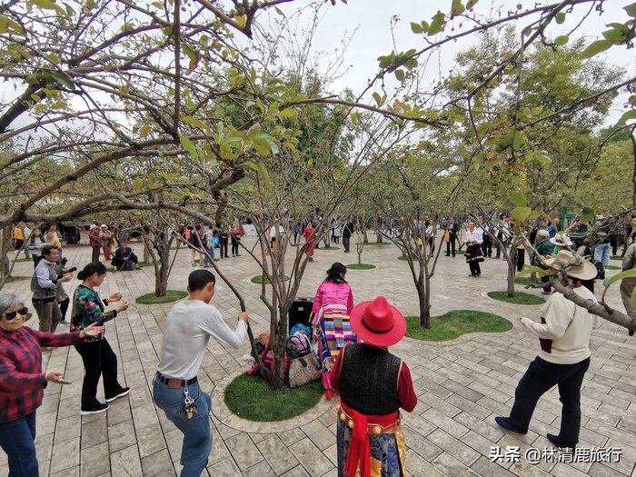 云南省昆明市夏天最高温度多少（昆明夏天最热多少度）(图3)