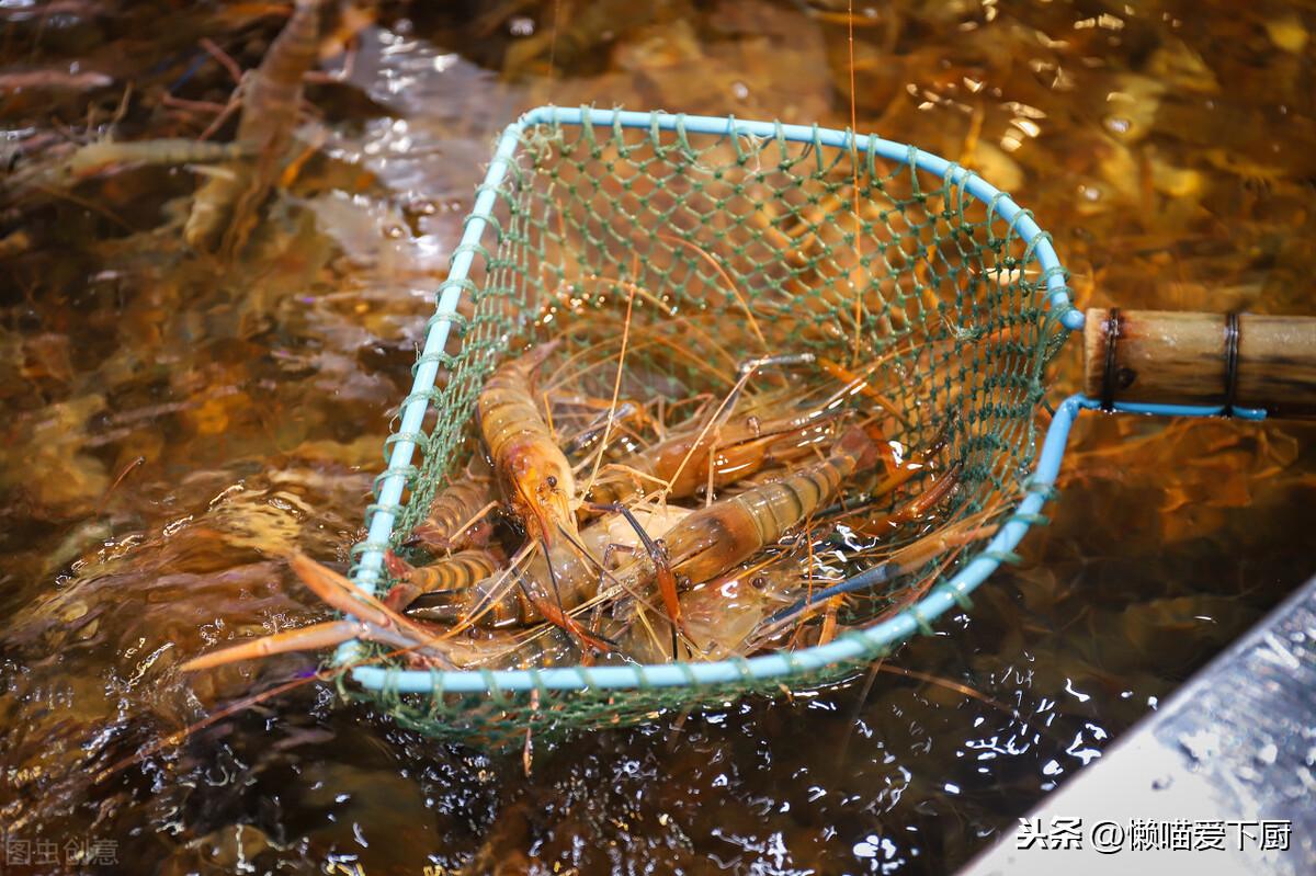 基围虾和对虾哪个好（基围虾和对虾哪个贵）(图6)