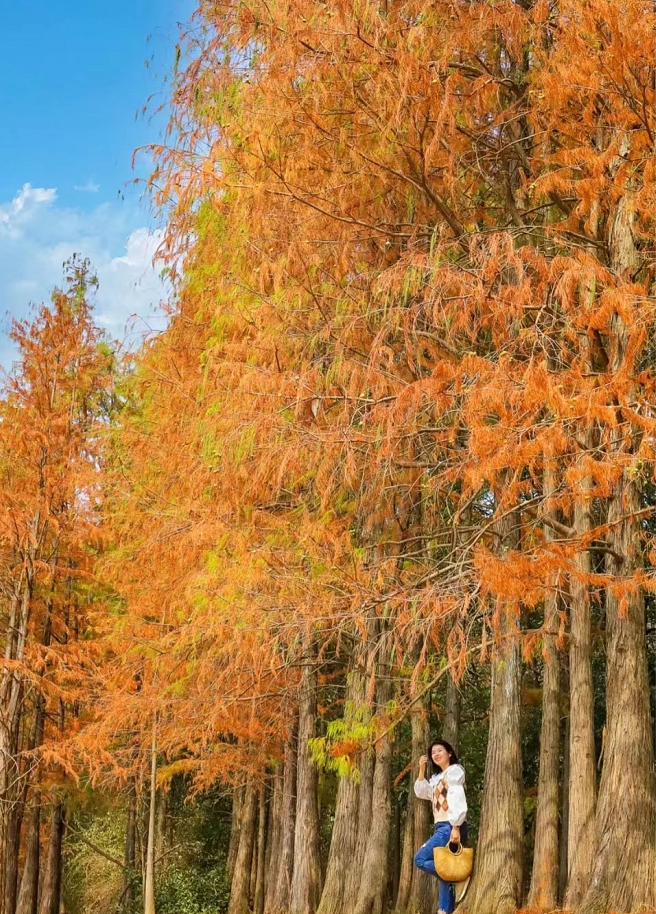 武汉哪里可以露营烧烤（武汉免费露营烧烤地方有哪些）(图7)