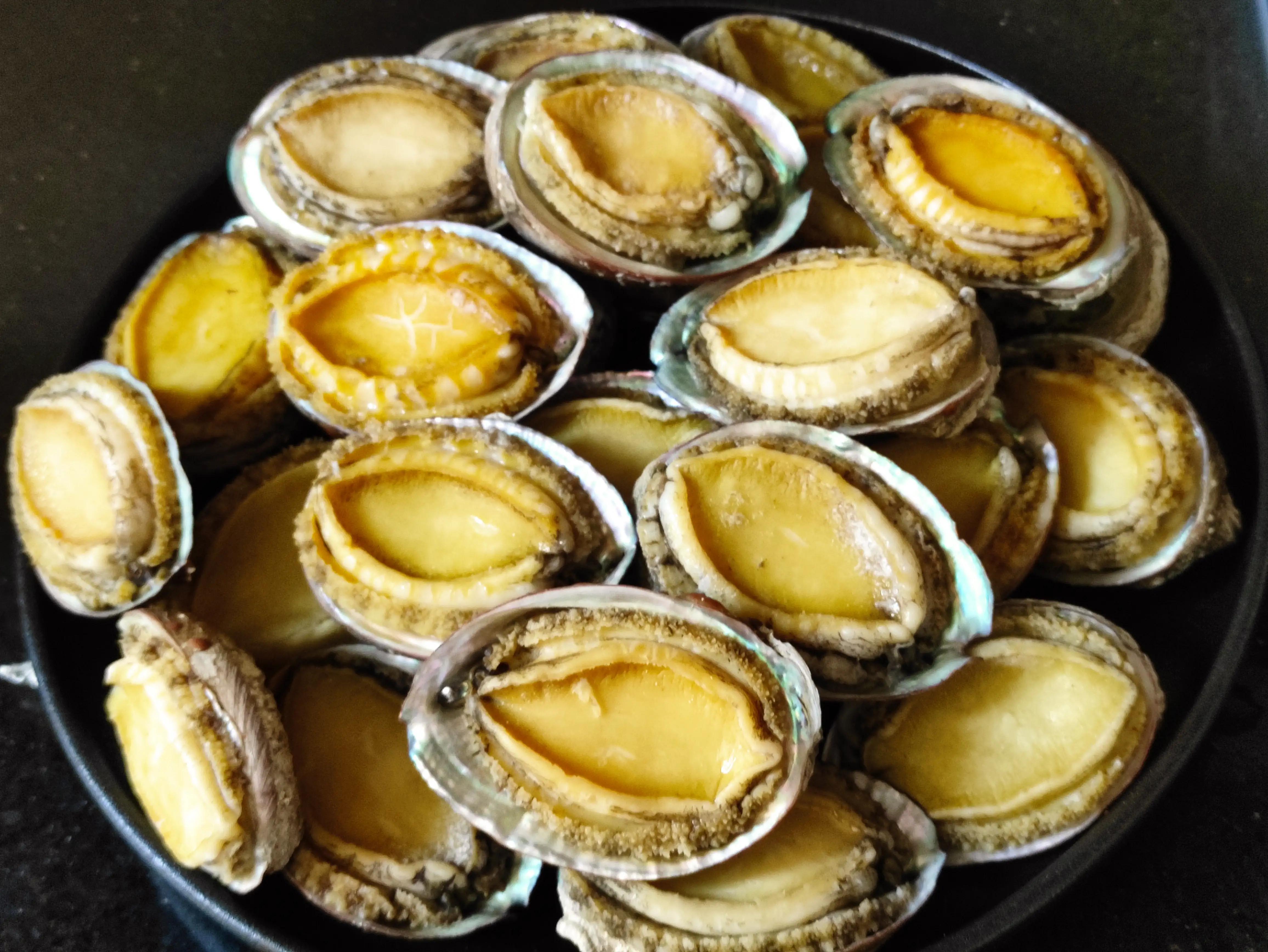 鲍鱼怎么保存最新鲜（如何保存鲍鱼不变质）(图12)