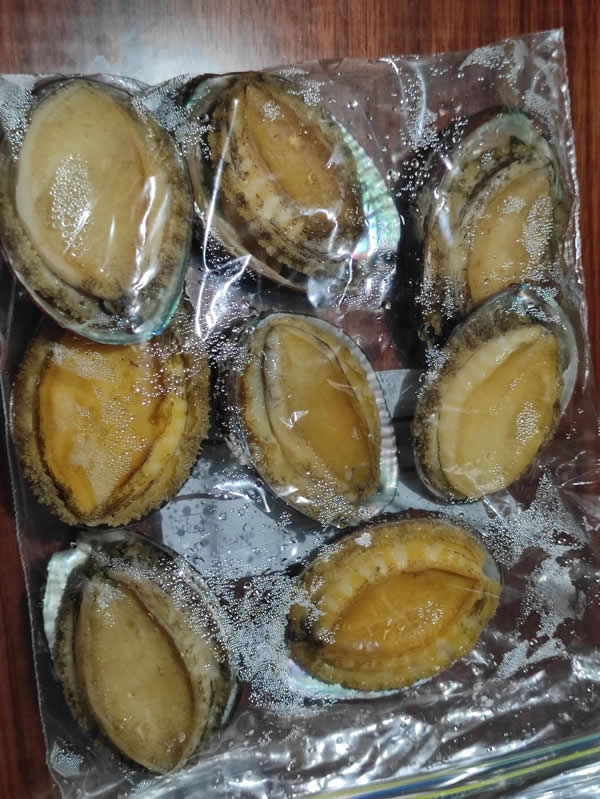 鲍鱼怎么保存最新鲜（如何保存鲍鱼不变质）(图13)