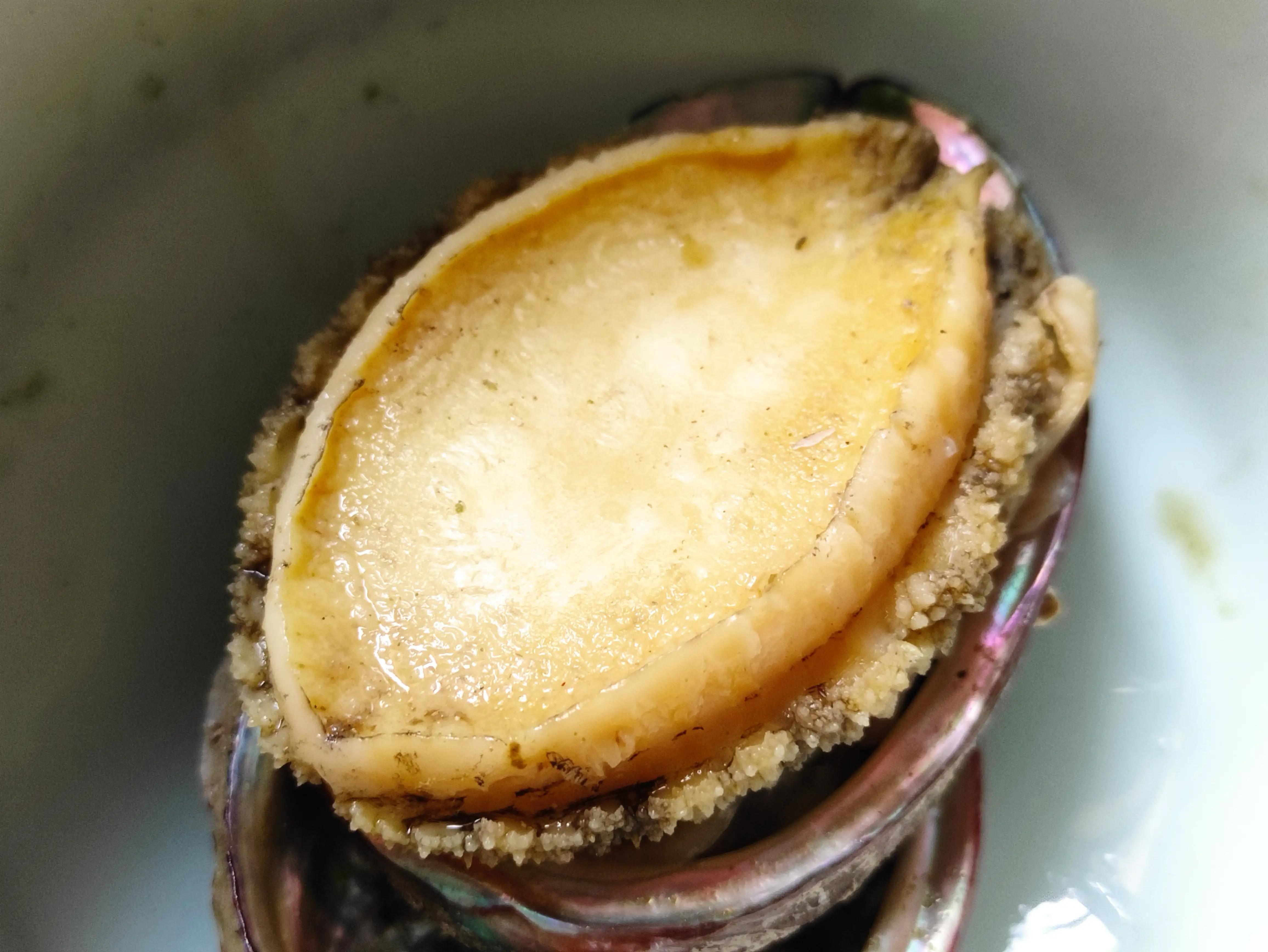 鲍鱼怎么保存最新鲜（如何保存鲍鱼不变质）(图14)