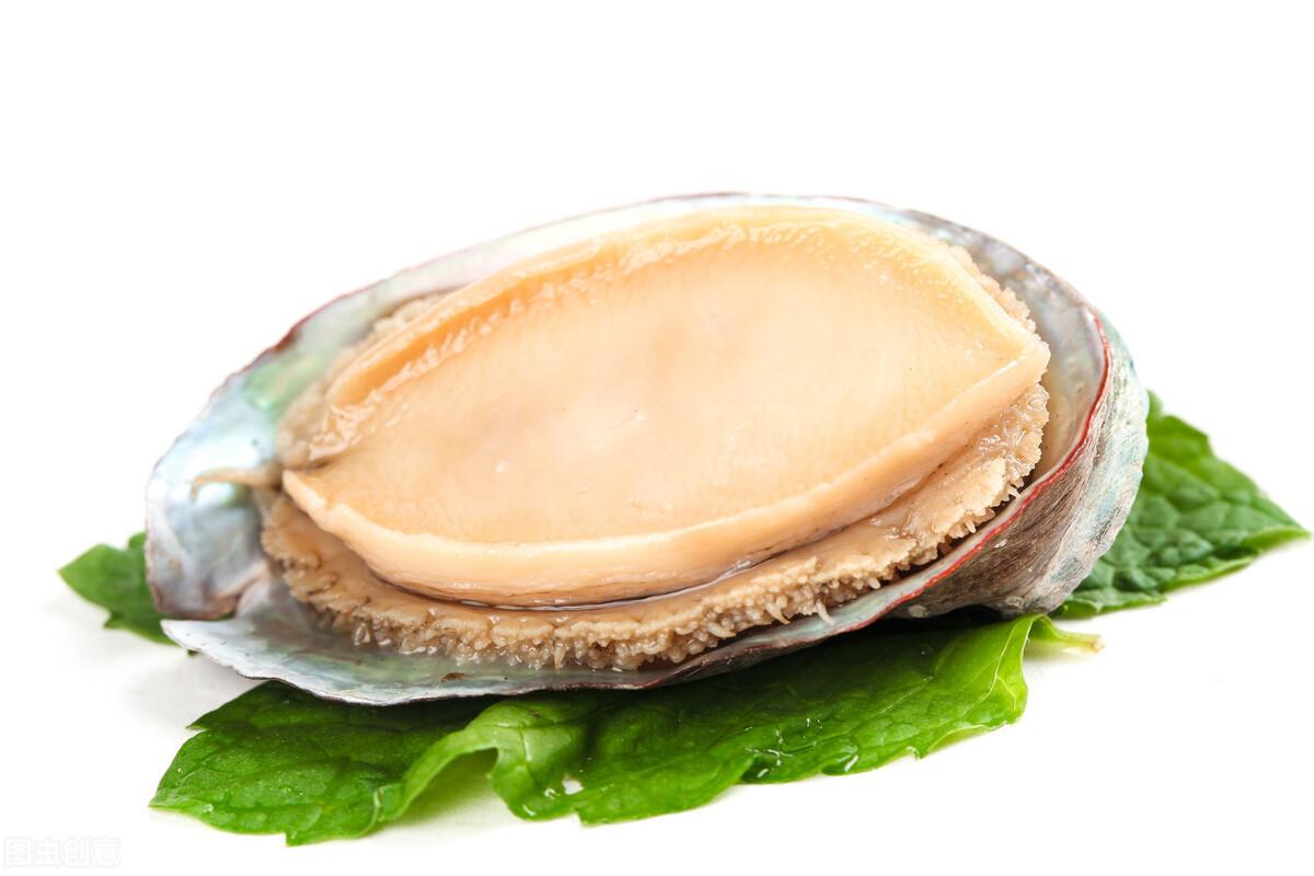 鲍鱼怎么保存最新鲜（如何保存鲍鱼不变质）(图6)