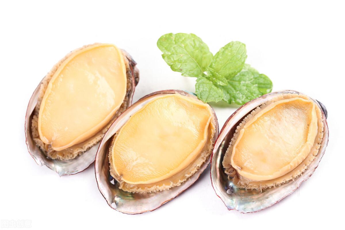 鲍鱼怎么保存最新鲜（如何保存鲍鱼不变质）(图3)