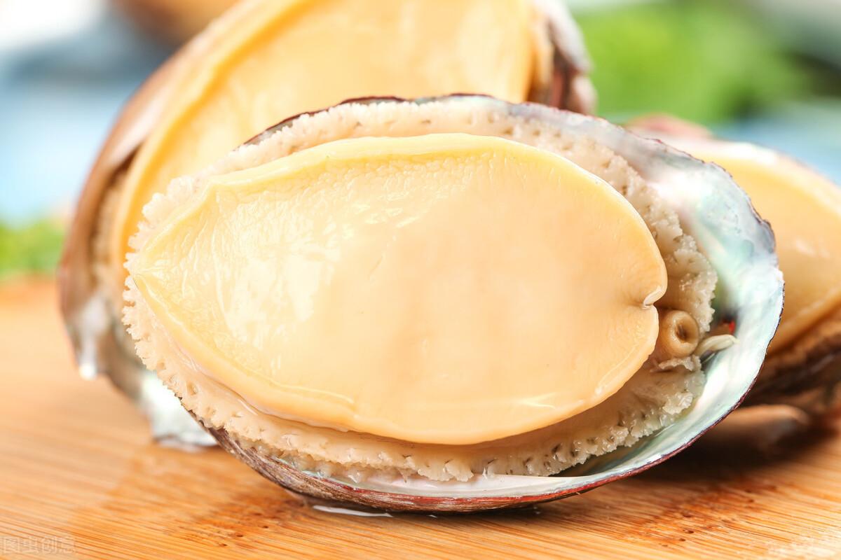 鲍鱼怎么保存最新鲜（如何保存鲍鱼不变质）(图5)