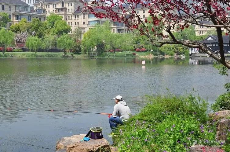 春季钓鲫鱼技巧全知识（早春钓鲫鱼技巧口诀）(图3)