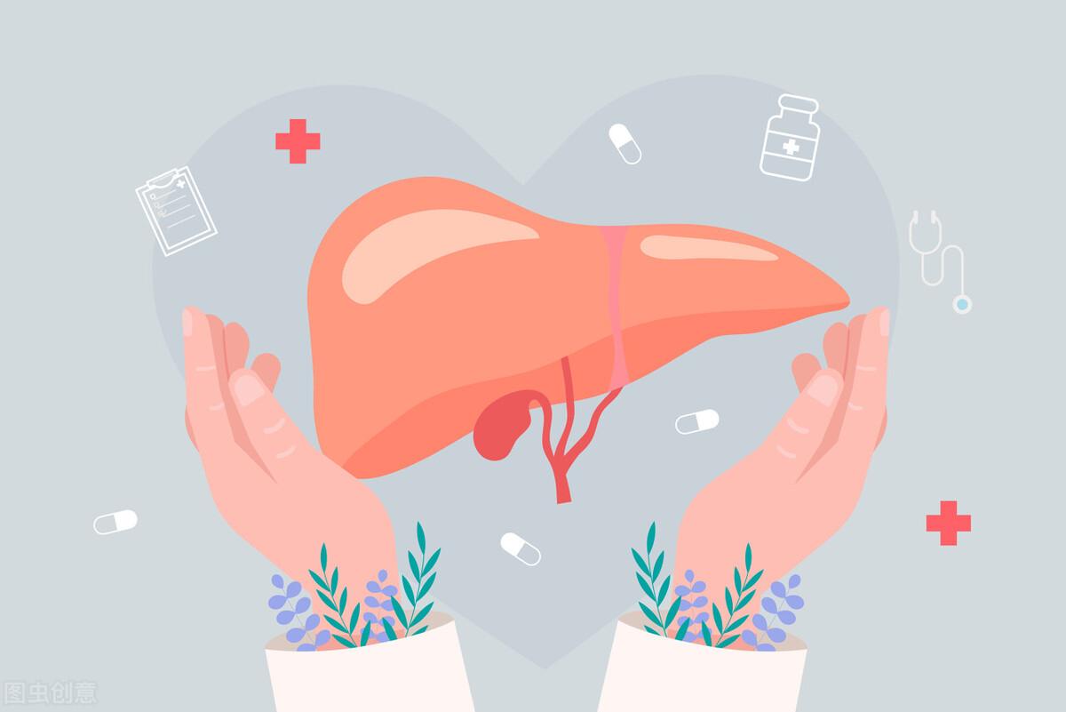 小三阳平均寿命（乙肝患者平均能活多久）(图3)