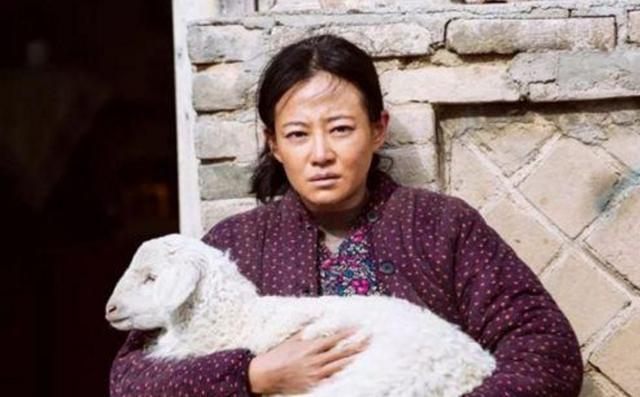 演员毛孩，毛孩微博(演员毛孩个人资料)