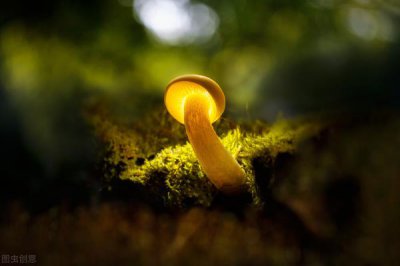 ​已经陷入婚外情怎么办，为婚外情而放弃婚姻