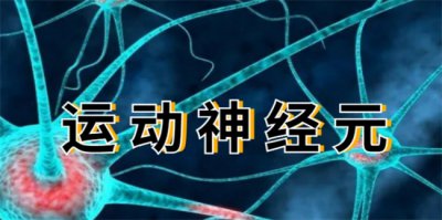 ​运动神经元病是怎么引起的 怎么治疗