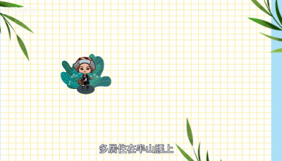 ​哈尼族的风俗习惯