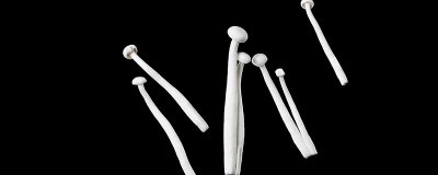 ​海鲜菇与白玉菇区别