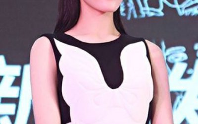 ​迪丽热巴资料(迪丽热巴资料简介)