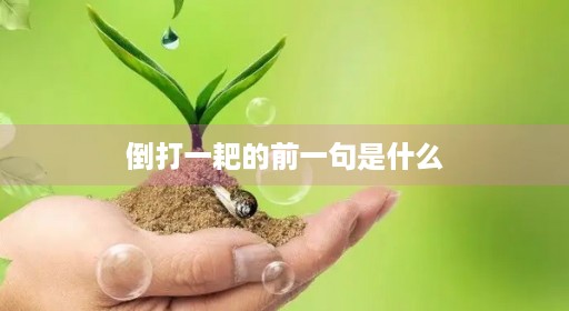 倒打一耙的前一句是什么