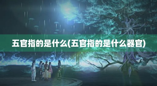 五官指的是什么(五官指的是什么器官) 五官指的是什么(五官指的是什么器官)