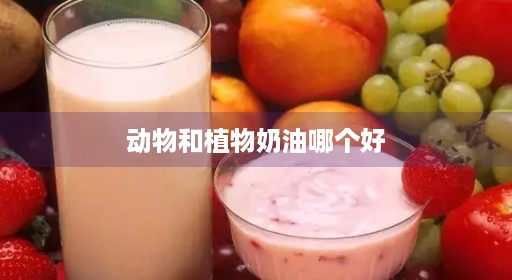 动物乳脂牛奶奶油和哪一个区别植物健康奶油哪个乳脂乳脂好蛋糕