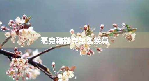 毫克克和纳克微克换算克微克怎么换算