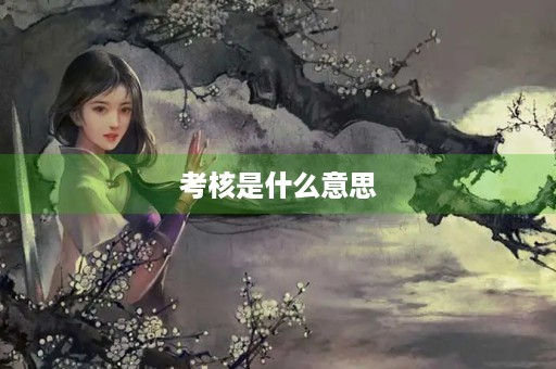 考核是什么意思