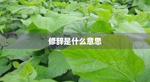 修辞是什么意思