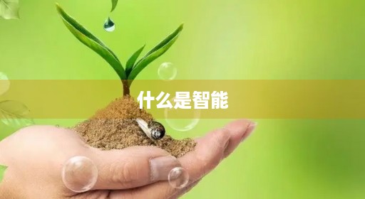 什么是智能