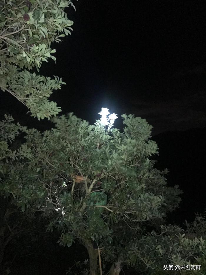 怎样对付老婆离家出走（老婆离家出走了）