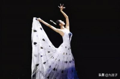 ​杨丽萍简历及个人资料简介，胡宝善(杨丽萍履历)