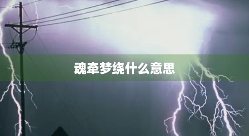 魂牵梦绕什么意思 魂牵梦绕什么意思
