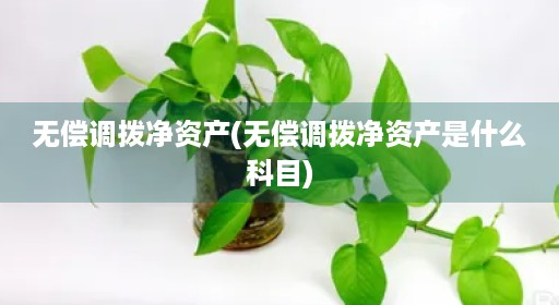 无偿调拨净资产(无偿调拨净资产是什么科目)