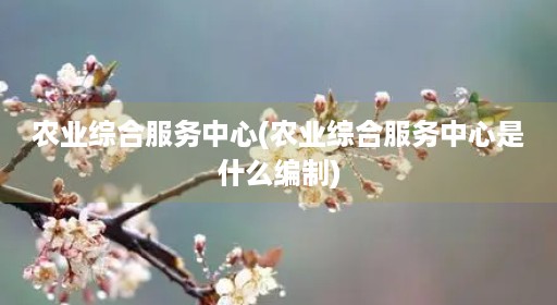 农业综合服务中心(农业综合服务中心是什么编制)