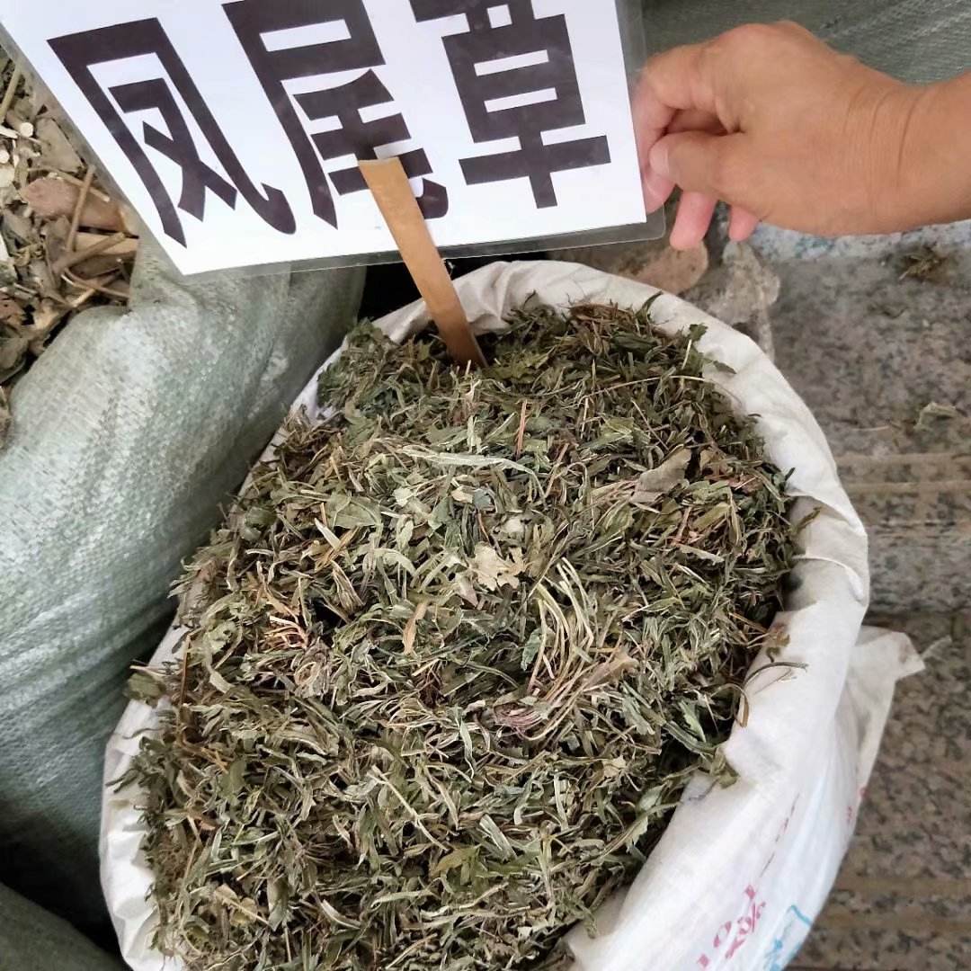 草单斤(草单斤是什么字)