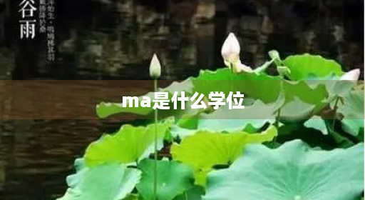 ma是什么学位