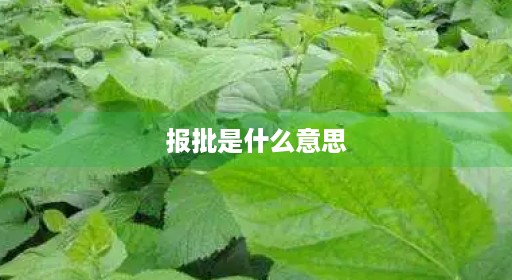 报批是什么批件报备意思用地