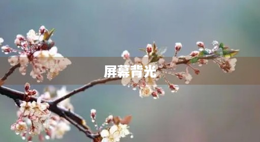 屏幕背光 屏幕背光