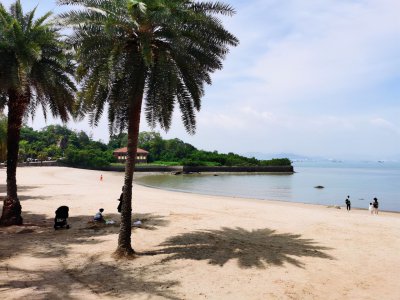 ​福建厦门旅游必去十大景点（厦门好玩的地方排名前十）