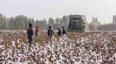 ​阿迪达斯怎么了为什么都终止合作（阿迪耐克辱华事件）