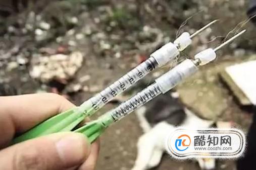 4399《皇帝成长计划2》药方(皇帝成长计划2丹药配方汇总2021)